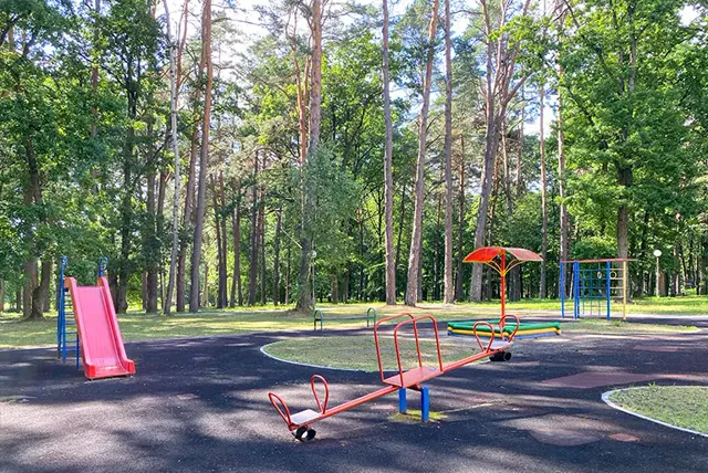 Playground equipment on a surfaced play area among trees